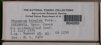 Image Associated With the Occurence